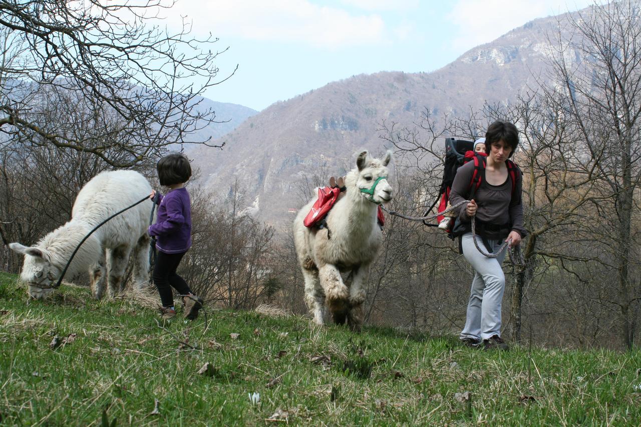 Il Capriolo Felice - Agriturismo Lastebasse Dış mekan fotoğraf